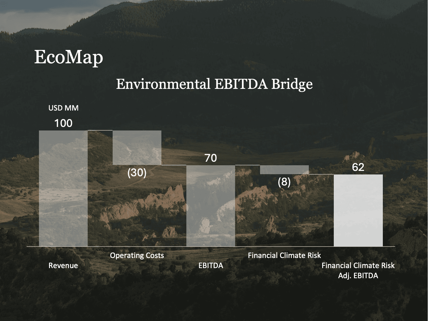 What Is Profit Adjusted for Financial Climate Risk?